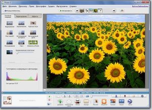 Faststone image viewer не видит сканер